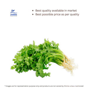 Coriander / Kothmir