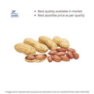 Kachi Phalli / Pacchi Verusenaga / Raw Groundnut